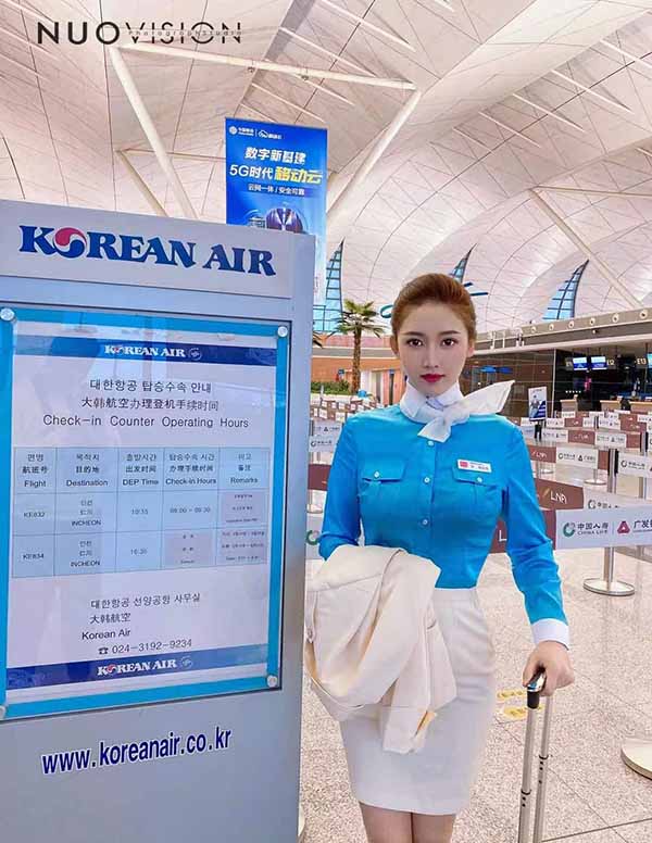 波士顿商务伴游