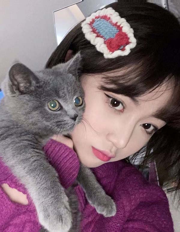 波士顿高端伴游